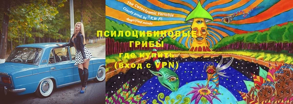 ALPHA PVP Ростов