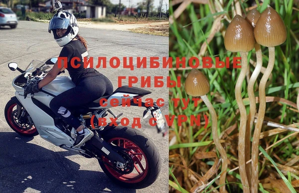 каннабис Балабаново