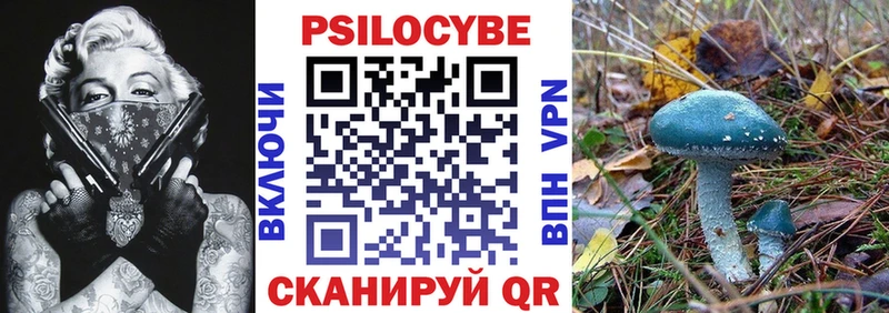 Галлюциногенные грибы прущие грибы  цена наркотик  Кубинка 